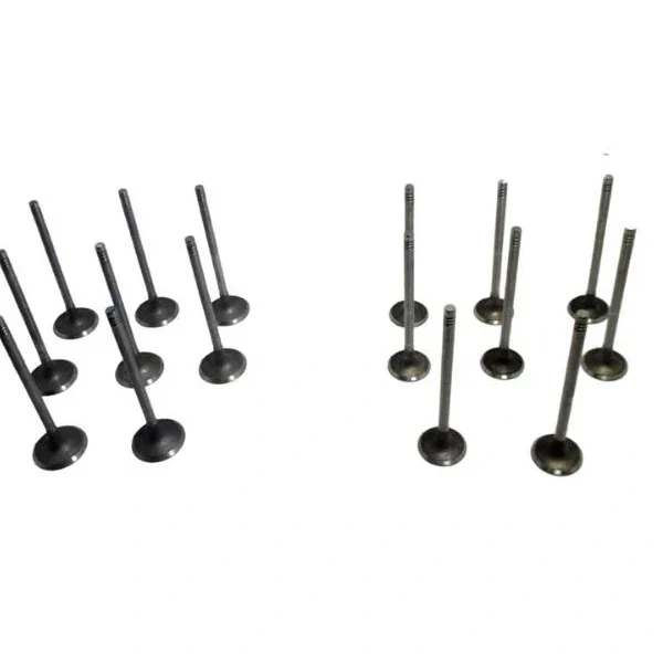 سوپاپ دود و هوا ام وی ام 315 نیو