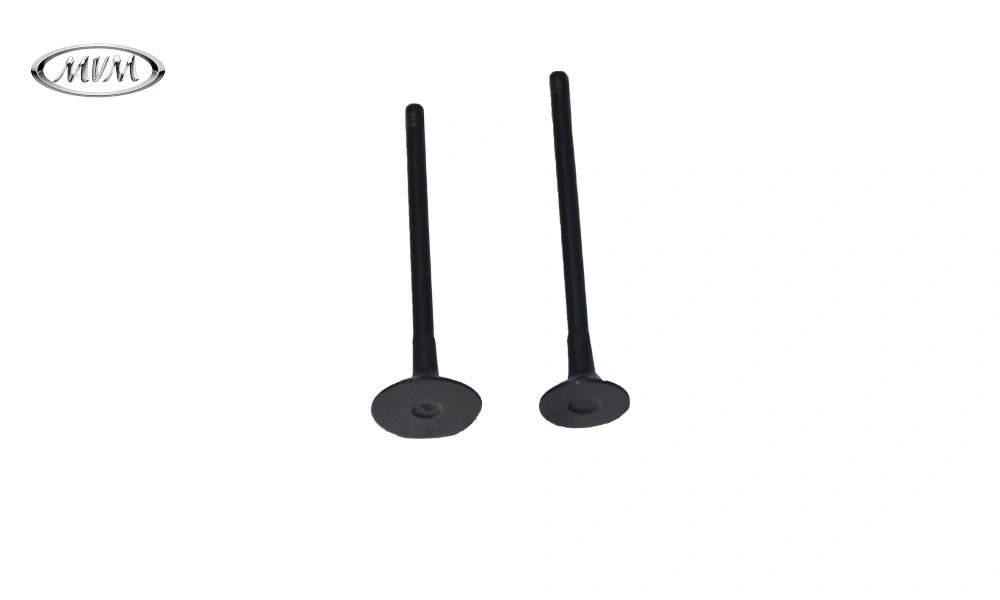 سوپاپ دود و هوا ام وی ام 315 سوپاپ دود و هوا ام وی ام 315 - تصویر 1