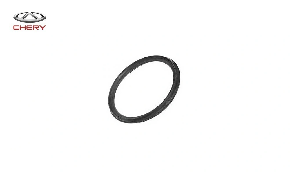 اورینگ واتر پمپ آریزو 6 اورینگ واتر پمپ آریزو 6