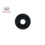 بوش طبق بزرگ ولکس C30