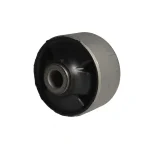 بوش طبق بزرگ چری آریزو 5