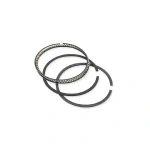 رینگ موتور چری آریزو 5