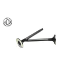 سوپاپ دود و هوا دانگ فنگ H30 کراس