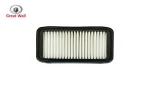 فیلتر هوا گریت وال ولکس C30