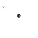 لاستیک ساق سوپاپ برلیانس H230