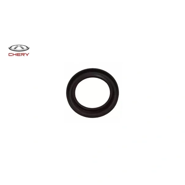 کاسه نمد سر میل لنگ آریزو 5