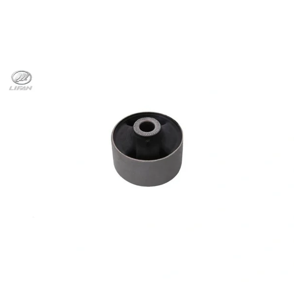 بوش طبق بزرگ لیفان X50