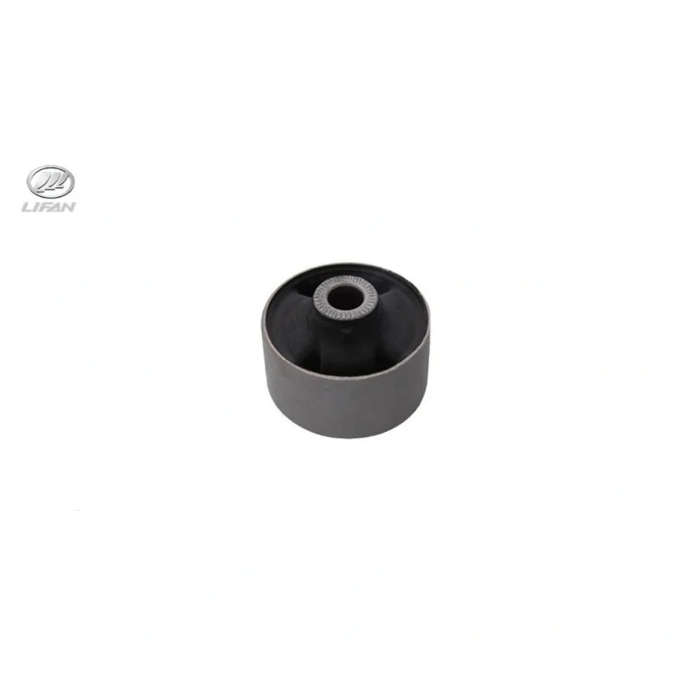 بوش طبق بزرگ لیفان X50