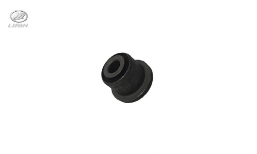 بوش طبق کوچک لیفان X50