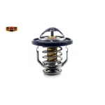 ترموستات جیلی امگرند RV-7