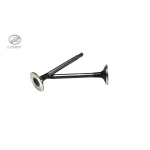 سوپاپ دود و هوا لیفان X50