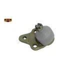 سیبک طبق جیلی امگرند 7