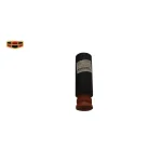 گردگیر کمک فنر جیلی امگرند RV