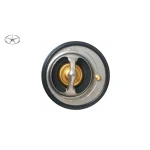 ترموستات جک S5