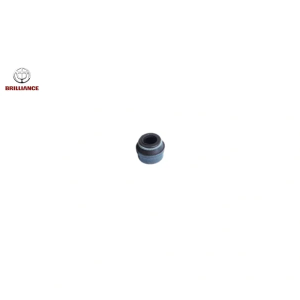 لاستیک ساق سوپاپ برلیانس H220