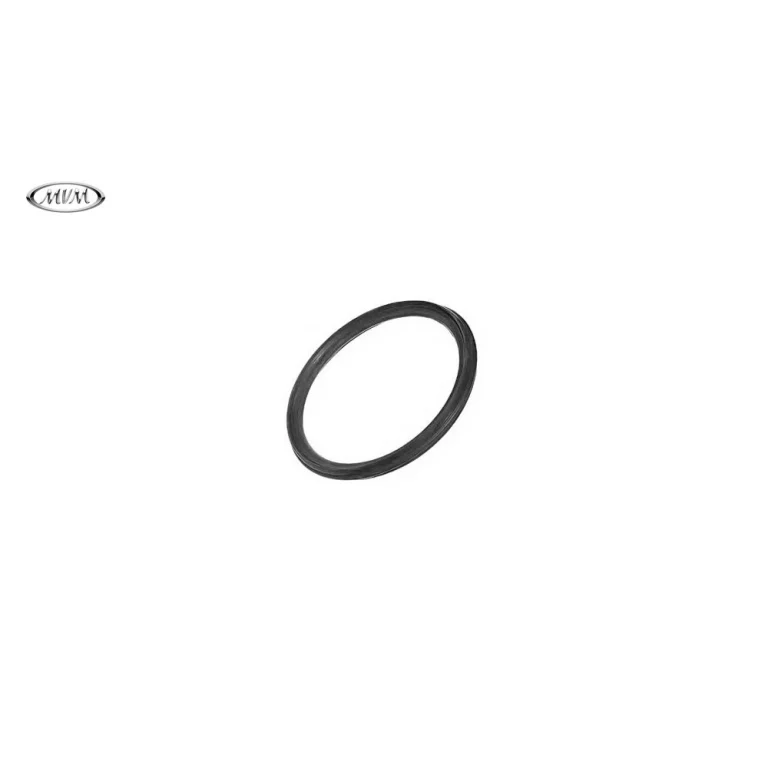 اورینگ واتر پمپ ام وی ام X55