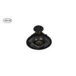 ترموستات ام وی ام X33